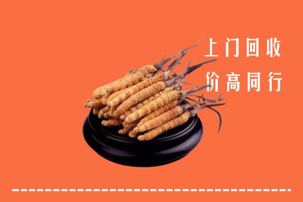 附近收购：诸暨市冬虫夏草回收多少钱每克