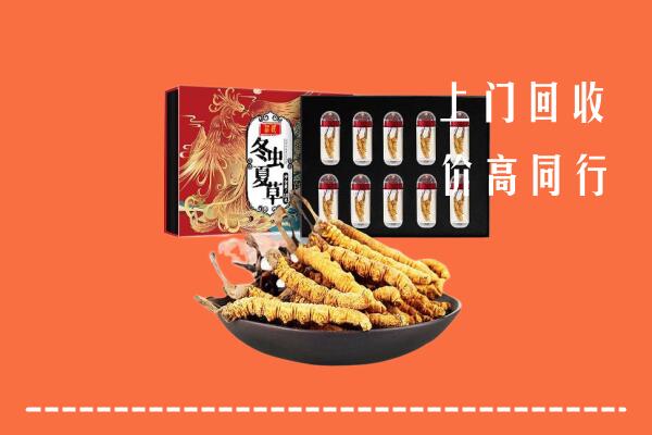 诸暨市回收虫草